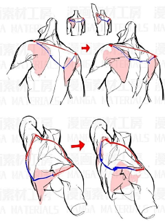 玉中锦萍采集到绘画教程