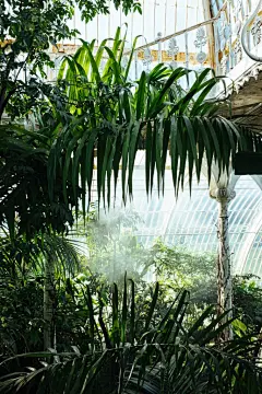 森林高清摄影素材