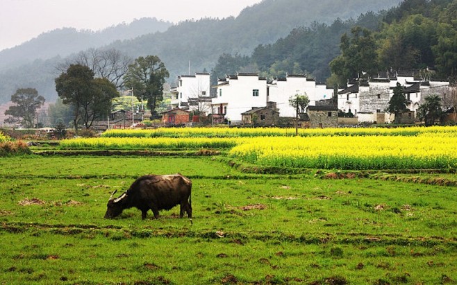 田园风光图片