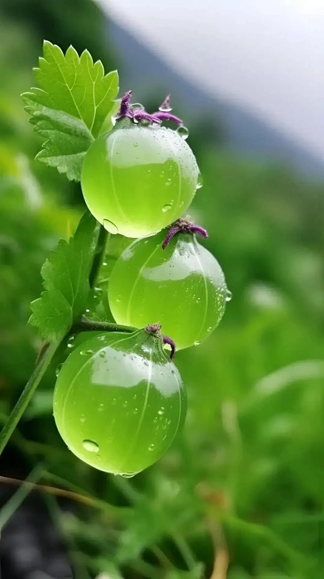 来自分享