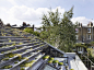 伦敦屋顶花园住宅