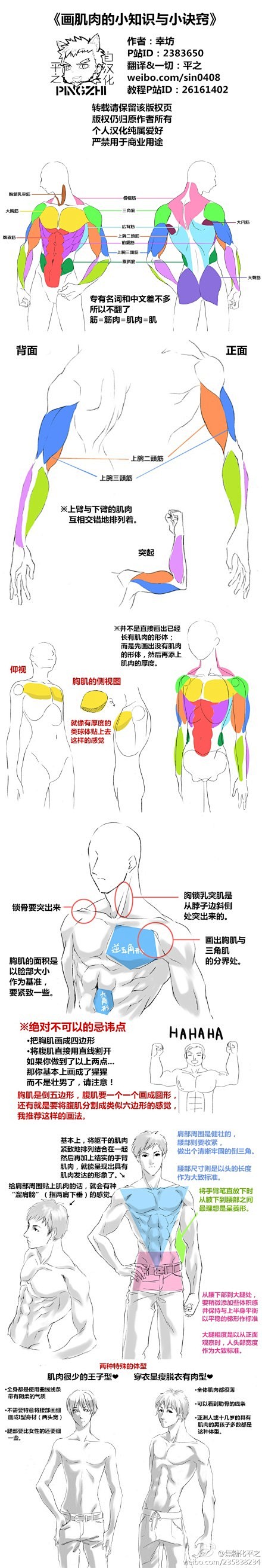 《画肌肉的小知识与小诀窍》前几天看到某位...