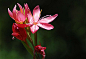 Peacebewithyou.|Flickr–相片分享！