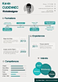 Free Infographic Resume PSD Template