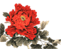 【水货素材】花鸟鱼免抠╮(╯▽╰)╭自抠_古风签吧_百度贴吧
