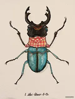 昆虫记——穿衣服的昆虫 | 视觉中国