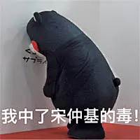 关于宋仲基的文字版暴漫图片_第1页_QQ表情包下载_表情党