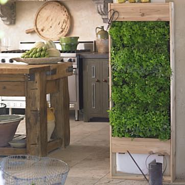 垂直花園（草本植物）在你的廚房！
