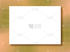 模板模拟概念。绿色，珊瑚色背景。白色大文本框。画框，边框设计。贺卡、明信片、传单、海报、宣传单、网站