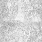 Grunge-BM-039