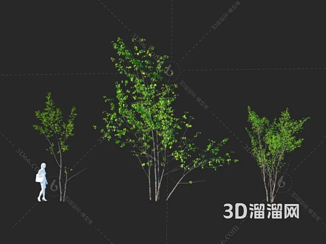 【树SU模型下载】_树SU模型素材下载_...