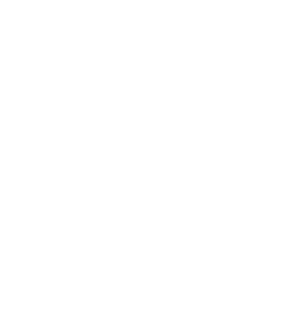 玫瑰 图标