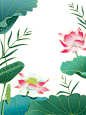 荷花素材绿色夏天