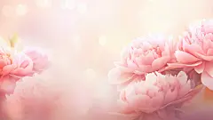 唯美简约花朵植物壁纸