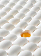 Art design about eggs