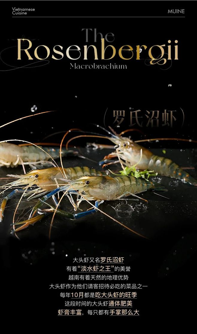 罗氏沼虾