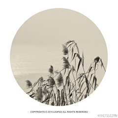 Kimming采集到风光摄影——国画风