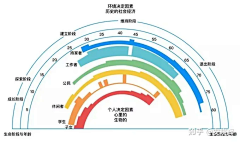 SamZhang233采集到奇特的相册