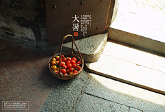 送你一匹马123采集到夏季