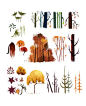 cy-lindric: “ Plants research for my background design assignment ! ”: