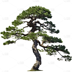 斬荒采集到桃源