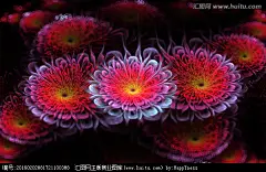 花束抽象花朵鲜花花朵墙贴幻彩炫彩花朵浪漫花朵装饰画花朵背景墙梦幻花朵花朵壁纸墙纸唯美花朵盛开绽放漂亮美丽花朵花海花卉背景纹理分形花花束