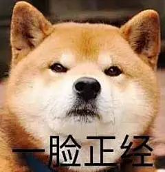 一脸正经_的表情包