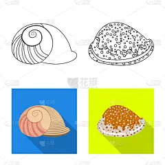 动物,夏天,螺线,自然,图像,矢量,分离着色,装饰,收集,设计