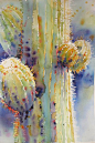 Saguaro Lightcatcher by Yvonne Joyner Watercolor ~ x仙人掌