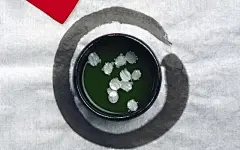 日式风格静物电脑桌面图片下载桌面壁纸3