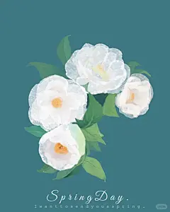 茶叶插画设计。茉莉花，山茶花，奶茶店