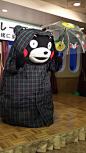 #熊本熊# #kumamon#