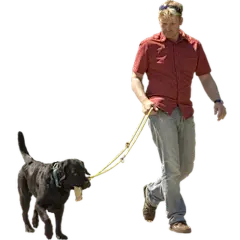 E (1)
