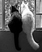 Opposites attract.
