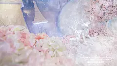 婚礼跟拍 | 梦幻冰雪城堡的婚礼-来自汕头睿视觉客照案例 |婚礼时光