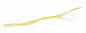 波浪水波纹金色线条曲线流线型高清素材 曲线 水纹 线条 金色 元素 免抠png 设计图片 免费下载 页面网页 平面电商 创意素材