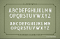 Fonts | 复古经典锐利强劲干净触感精雕细琢完美衬线英文字体 – 云瑞设计