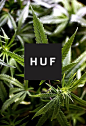 [HUF] 