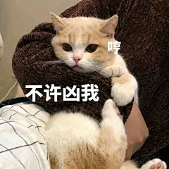 【图片】分享可爱的表情包_表情包吧_百度贴吧