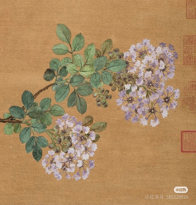 紫薇花 清 蒋廷锡 花鸟写生·台北故宫博物院收藏飞画中描绘盛开的紫薇花及菊花，白头翁鸟在树稍仰头鸣叫。树下有湖石衬托，暗示此景为人工建造的花园。