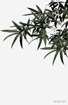 B-CORGI采集到植物素材