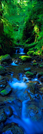 ♥ Olympic National Park, Washington, USA  Fantastic color