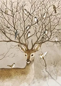 来自相册