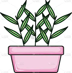 植物群,自然,花盆,正方形,生物学,商务,清新,环境,春天,爱