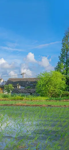 风景壁纸