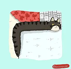 猫咪迷惑行为大赏！这40个猫咪的爆笑瞬间，每一张都是表情包哈哈哈哈 (5)