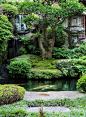 庭院  ·  日式