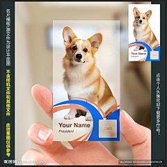 宠物店透明名片