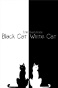 【黑猫白猫】(Black Cat White Cat) – (1998) ‧ 这是一部在欧陆穷乡僻壤的环境下拍摄而成的小人物爱情喜剧，风格朴实自然，洋溢着一种乐观向上的气息。故事带点黑色荒谬, 却又合情合理。 片中非职业演员占了相当大的比重，他们本色的演出令人耳目一新。本片获得威尼斯电影节最佳导演银狮奖。