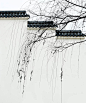 宫墙柳  #黑白#天空 白云 蓝天白云 合成素材 场景素材 天空背景  蓝天 白云 海洋 海水 海底 河水 水 背景 1920背景 合成素材 合成 素材 夏天 夏季背景 沙滩 椰树 海报背景 海豚 冲浪 沙 海星岛屿 岛 旅行  摄影风景 合成背景 1920大图 几何活动 草地 场景 素材库 高清背景图片 淘宝背景 天猫背景 海报背景 树木 路 石头 装饰 叶子 云 都市 建筑 植物 旅行、摄影、唯美、风景、景观、自然、地理、海滩、旅游 
